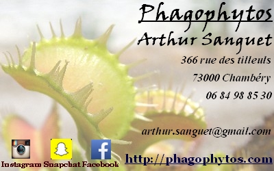 carte de visite finale