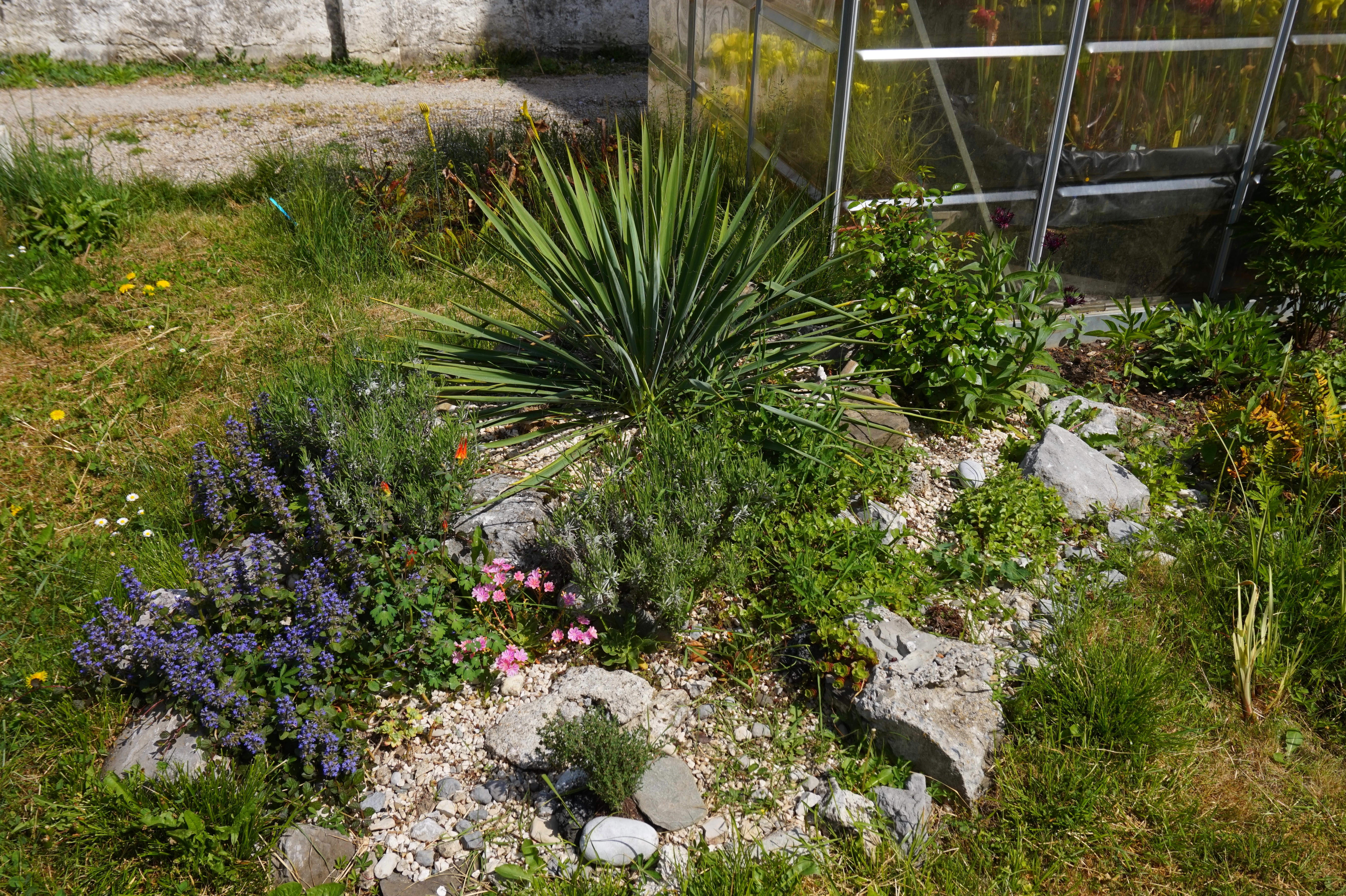 rocaille printemps 2018 (5)