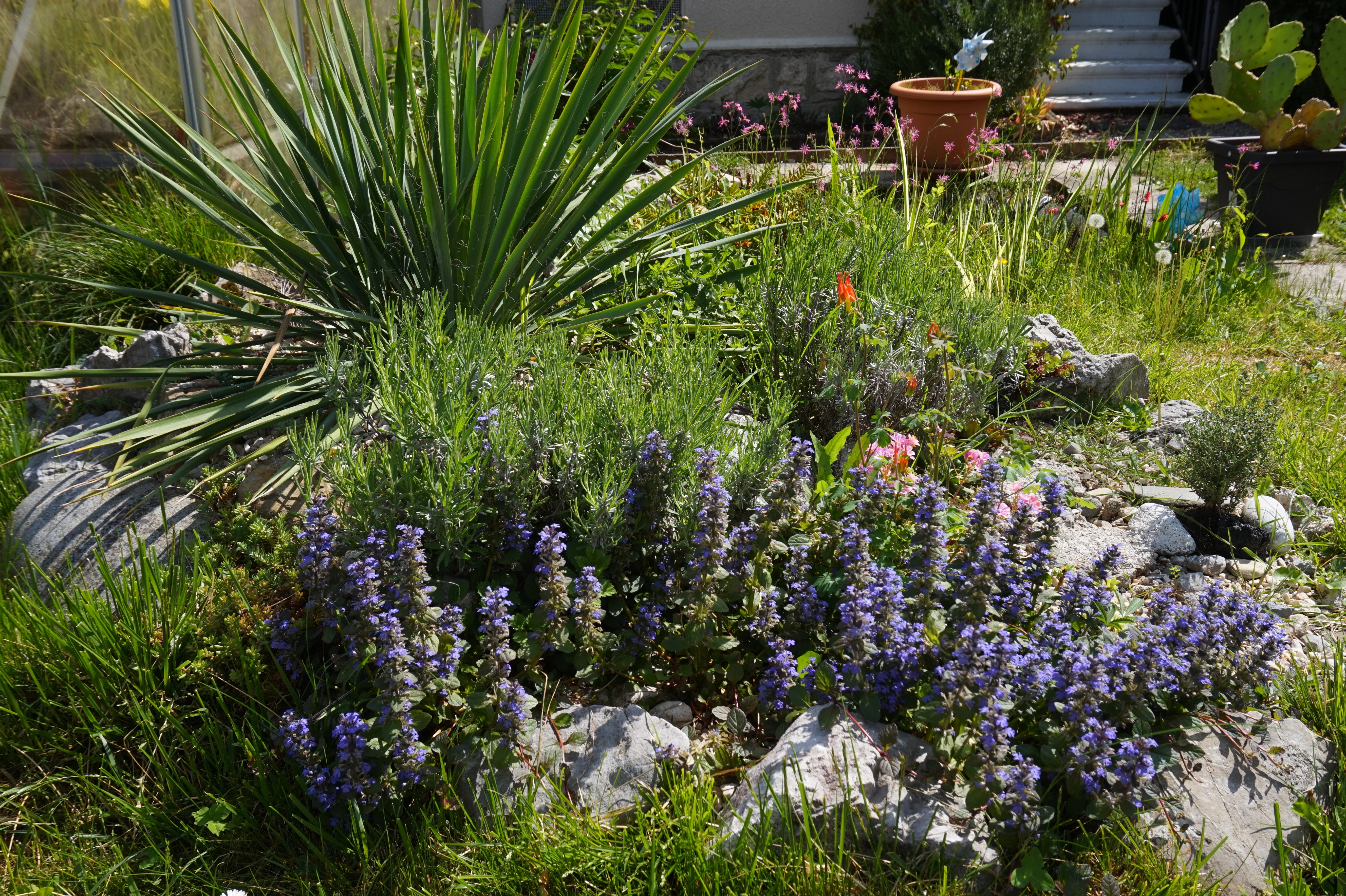 rocaille printemps 2018 (6)