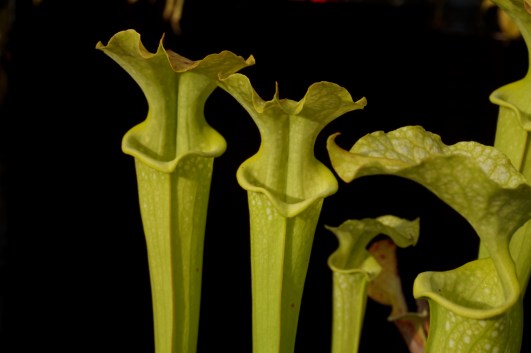 HP2010E octobre 2017 (2)